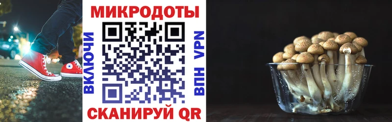 Галлюциногенные грибы GOLDEN TEACHER как найти наркотики Крым
